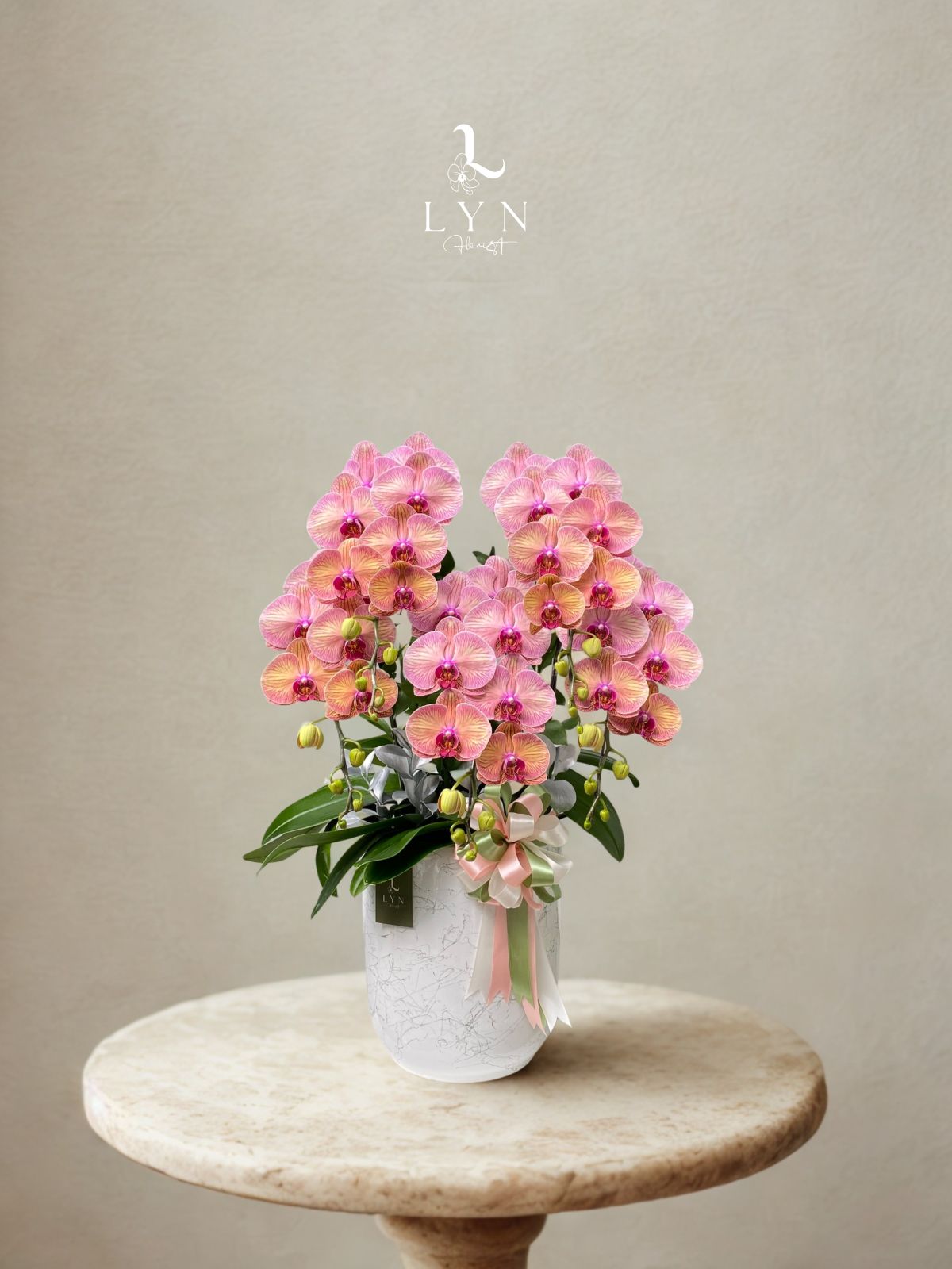 Chậu Hoa Lan Cam Hồng